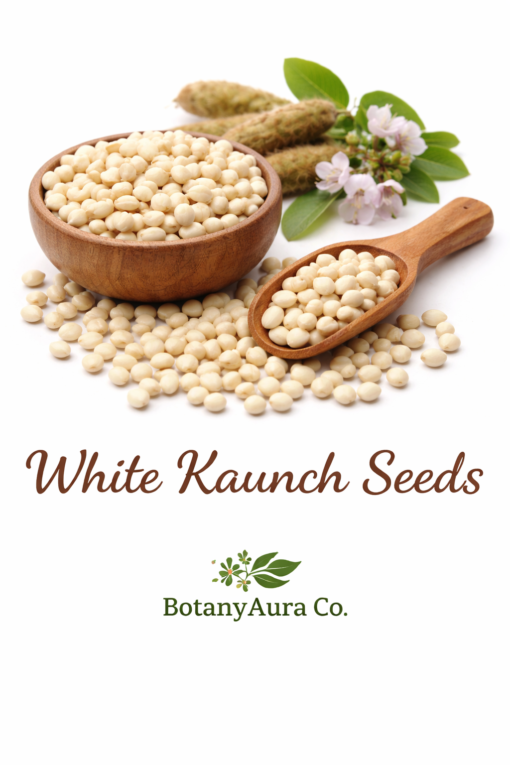 White Kaunch Seeds Mucuna pruriens – Natural Herbal Seeds