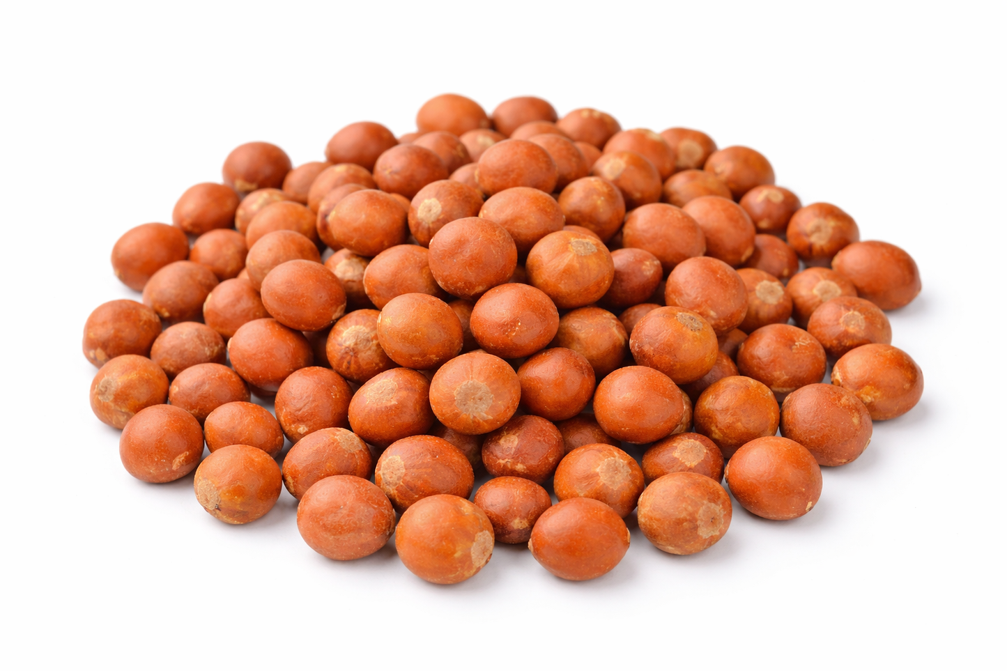 Gunjan Lal Seeds Abrus precatorius – Natural Herbal Seeds