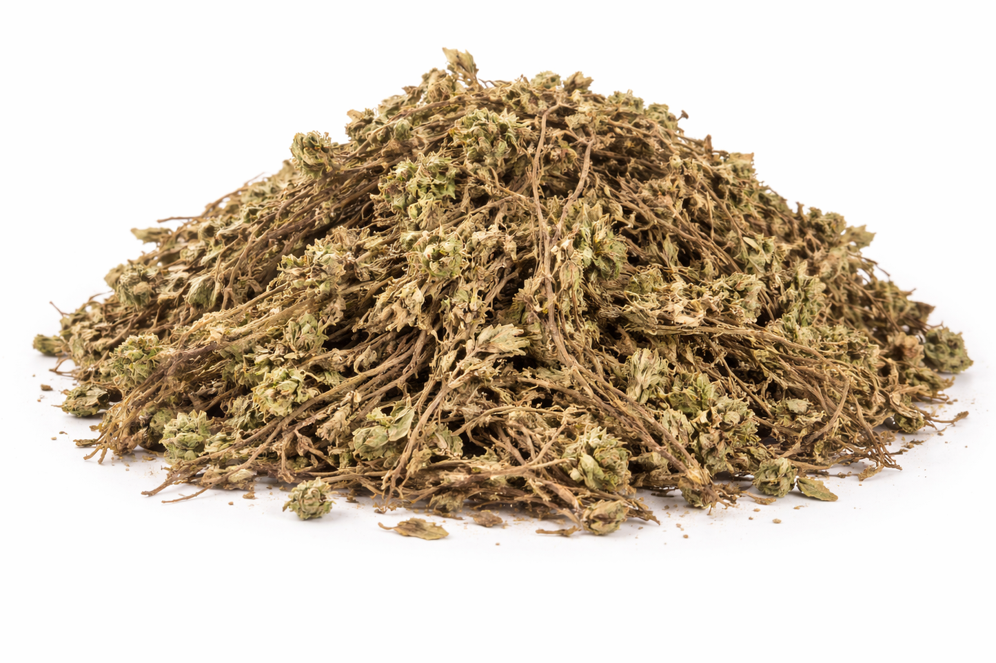 Sanjeevni Booti whole dried herb of Selaginella bryopteris herbal raw material