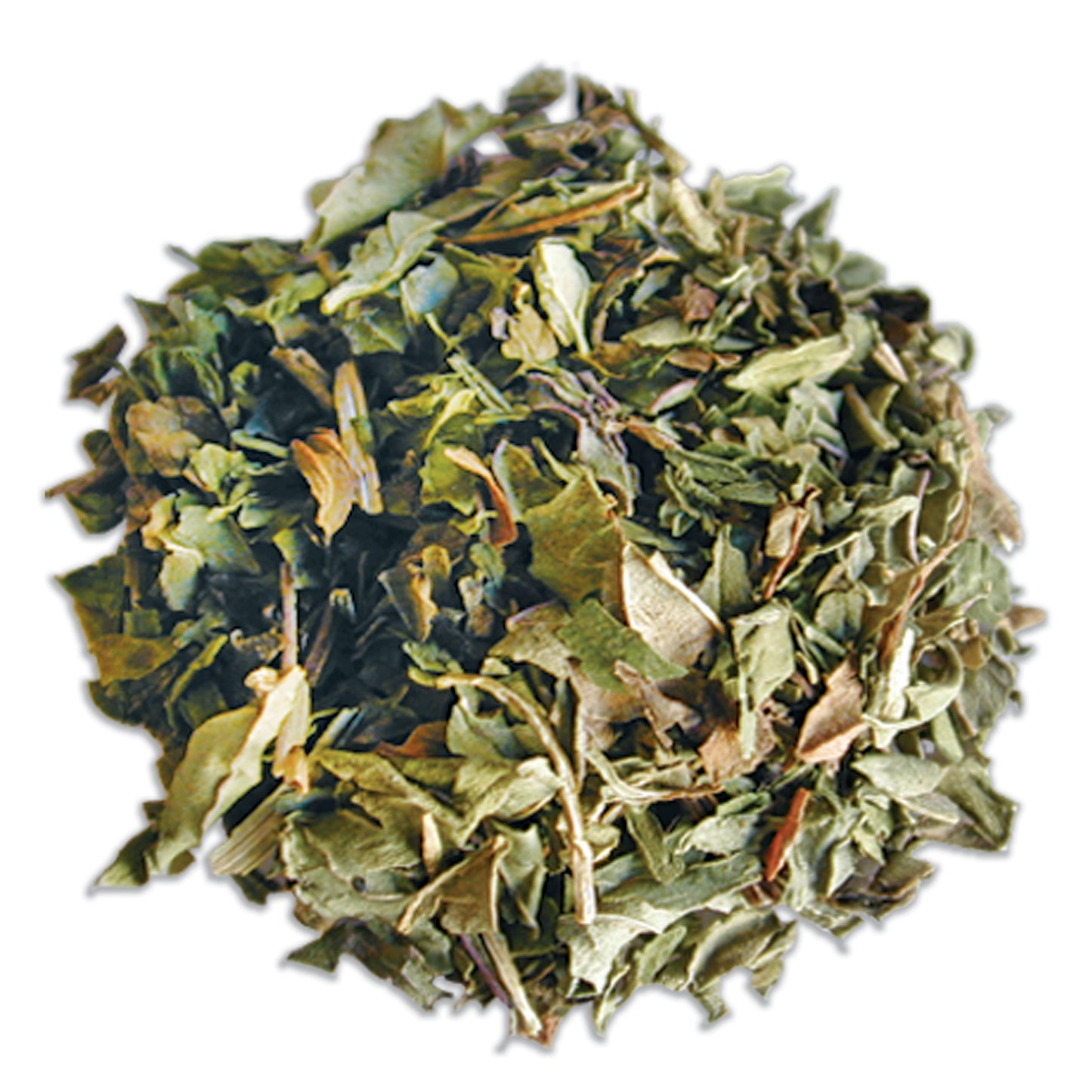 Mentha spicata dried spearmint leaves close