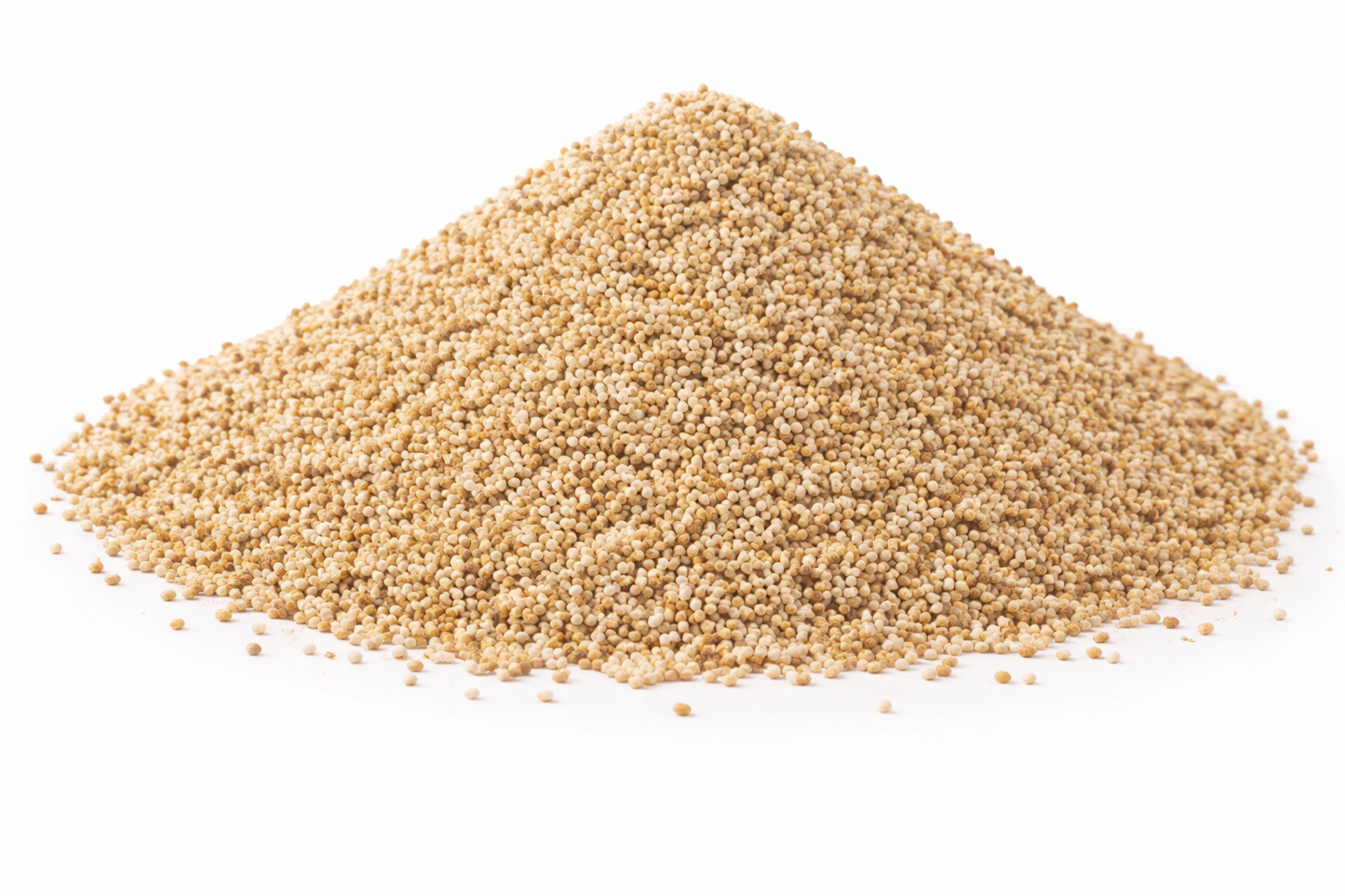 Poppy seeds khus khus whole natural seeds of Papaver somniferum