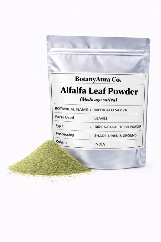 Alfalfa Leaf Powder (Medicago sativa) | Lucerne Leaf Powder | Natural Green Superfood Powder | Bulk Supplier