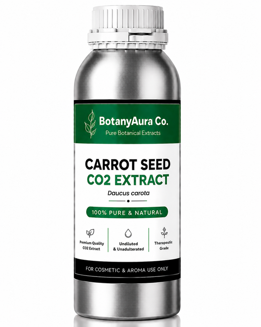 Carrot Seed CO2 Extract — Daucus carota