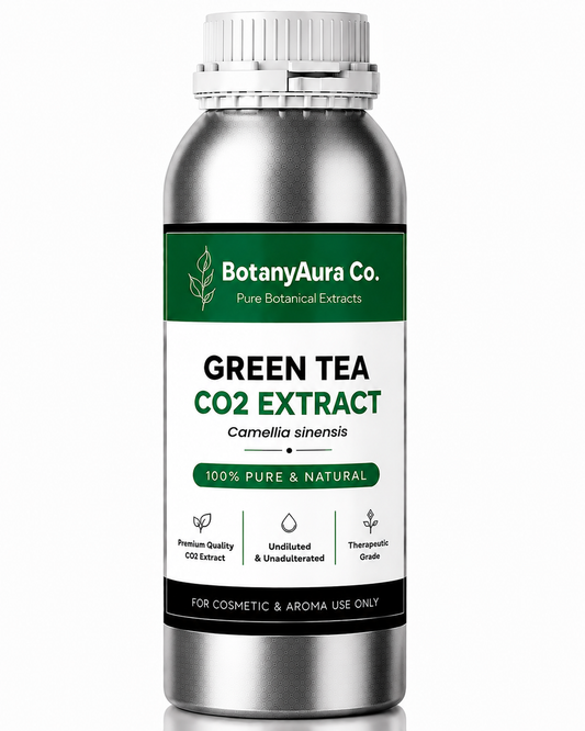 Green Tea CO2 Extract — Camellia sinensis