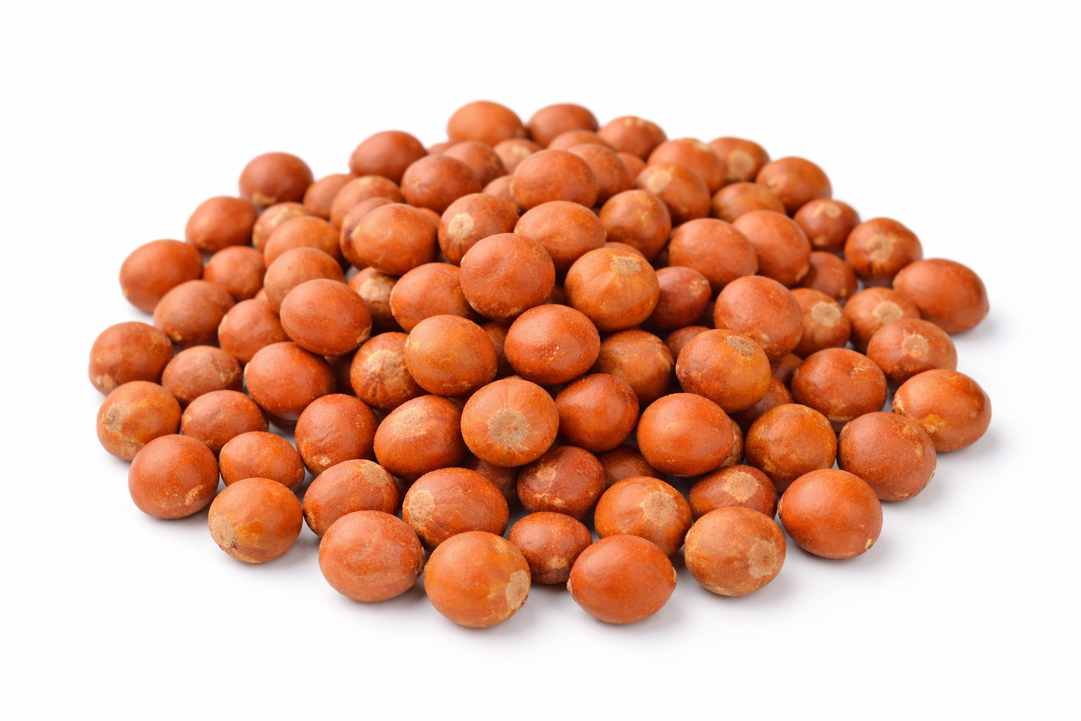 Gunjan Lal Seeds Abrus precatorius – Natural Herbal Seeds