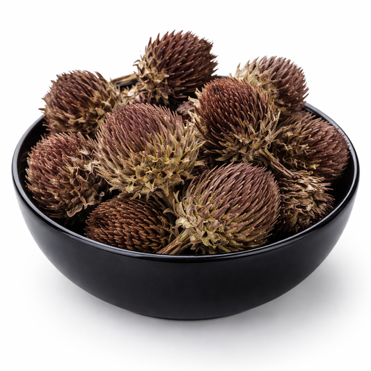 Dried Echinacea Whole – Echinacea purpurea