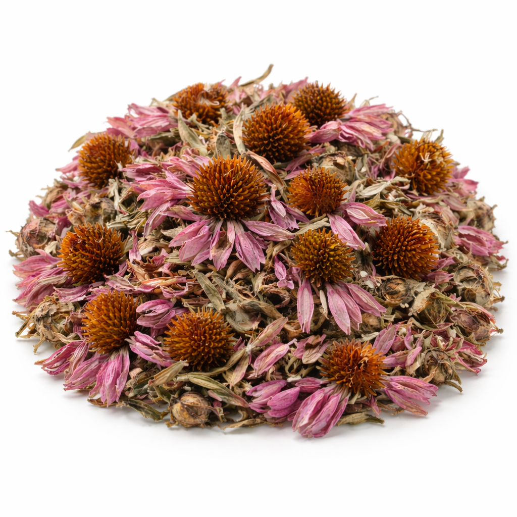 Dried Echinacea Whole – Echinacea purpurea