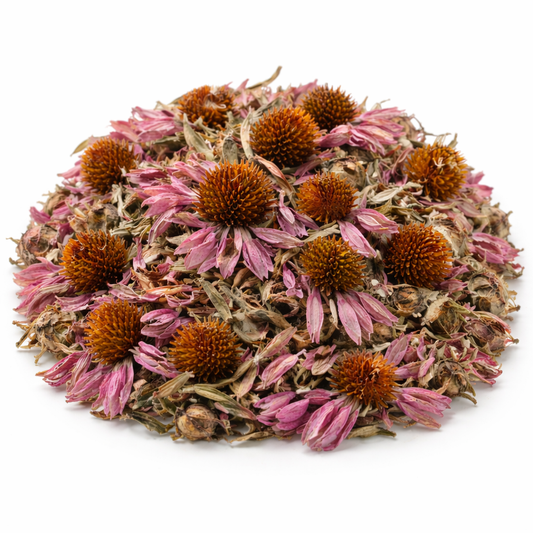 Dried Echinacea Whole – Echinacea purpurea