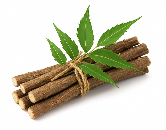 Neem Datoon Chewing Stick Azadirachta Indica – Natural Oral Care