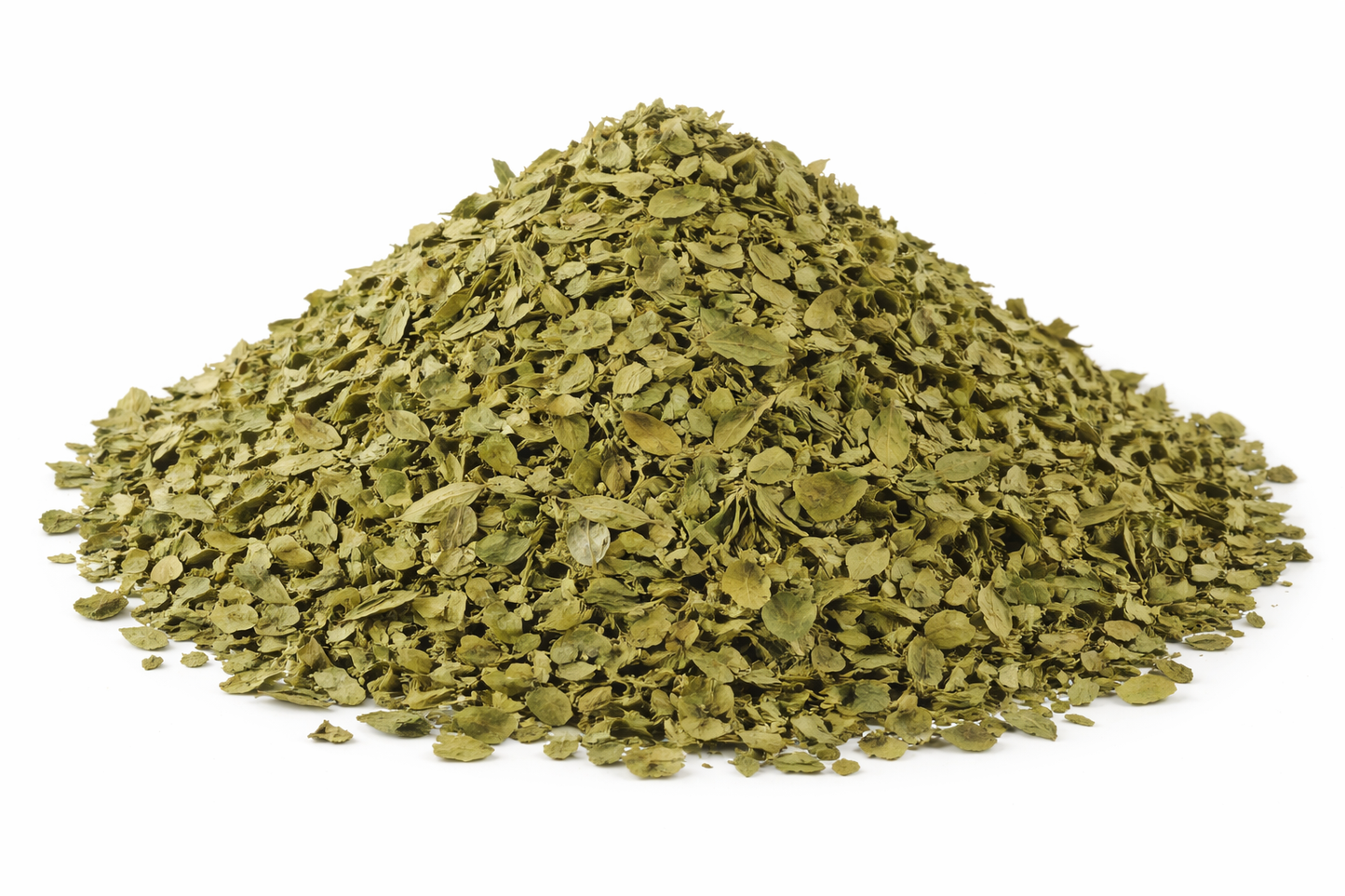 Moringa Leaf Water Soluble Extract - Moringa oleifera