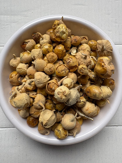 Paneer Dodi Whole – Withania Coagulan