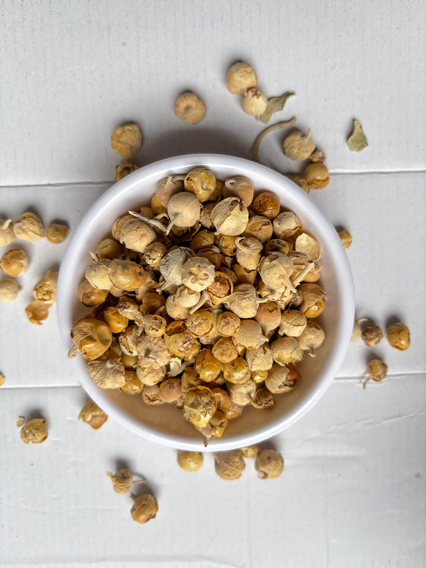 Paneer Dodi Whole – Withania Coagulan