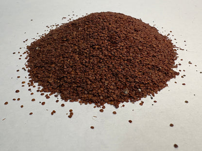 Lajwanti Seeds (Mimosa pudica) | Natural Herbal Seeds – BotanyAura Co.