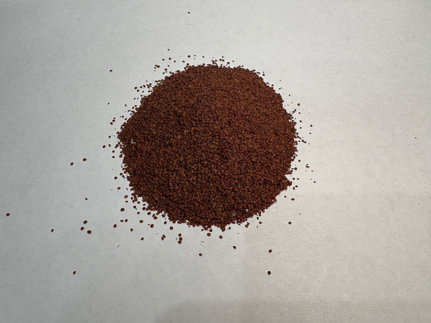 Lajwanti Seeds (Mimosa pudica) | Natural Herbal Seeds – BotanyAura Co.