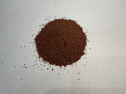 Lajwanti Seeds (Mimosa pudica) | Natural Herbal Seeds – BotanyAura Co.