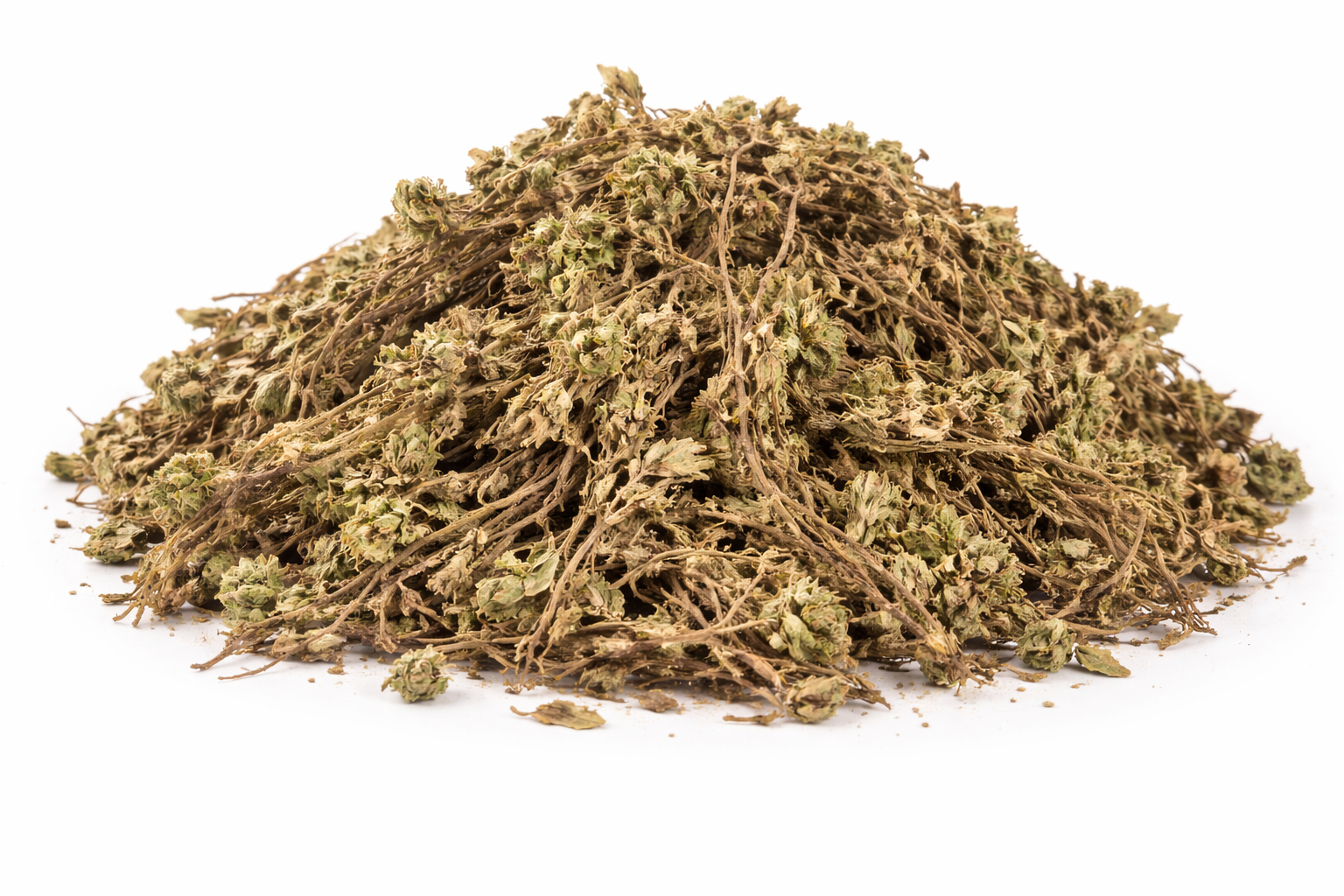 Sanjeevni Booti whole dried herb of Selaginella bryopteris herbal raw material