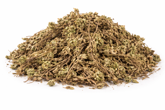 Sanjeevni Booti whole dried herb of Selaginella bryopteris herbal raw material