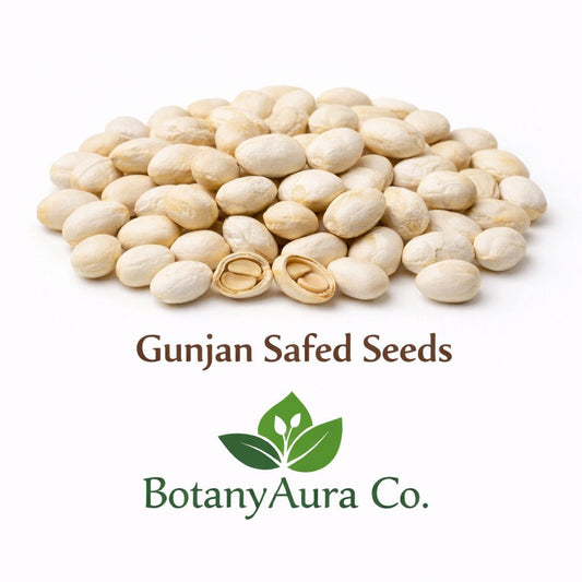 Gunjan Safed Seeds Abrus precatorius – Natural Herbal Seeds