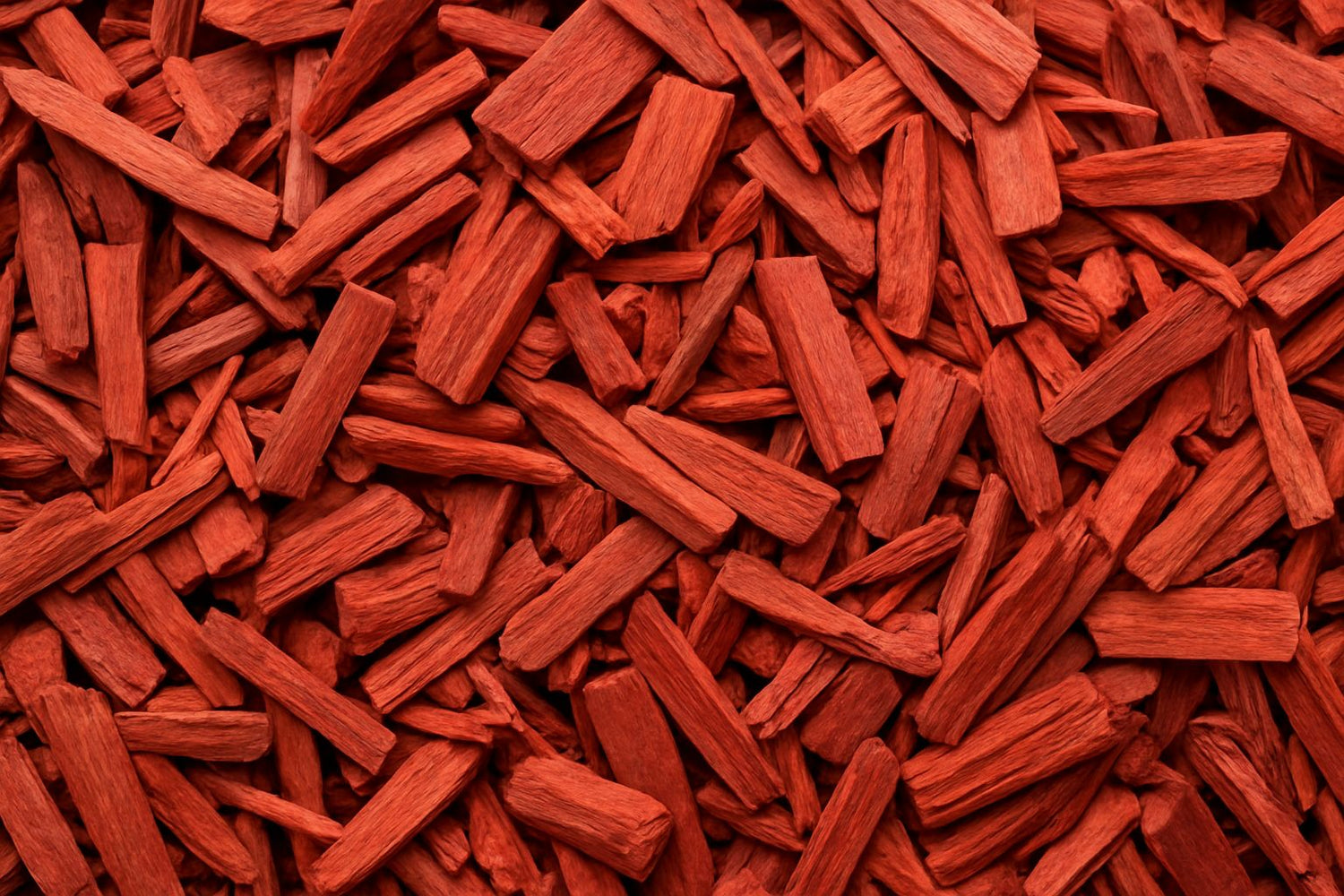 Red Chandan Red Sandalwood Pterocarpus santalinus – Premium Wood