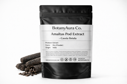 Amaltas Pod Extract Powder (Cassia fistula) in black pouch with dried pods – premium herbal extract