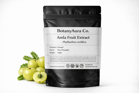 Amla Fruit Extract Powder (Phyllanthus emblica) in black pouch with fresh amla fruits – premium herbal extract