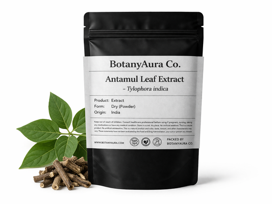 Antamul Leaf Extract Powder (Tylophora indica) in black pouch with leaves – premium herbal extract