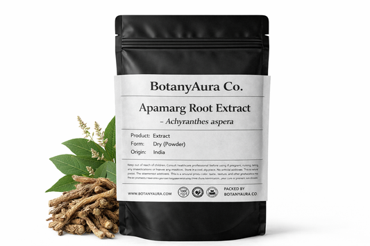 Apamarg Root Extract Powder (Achyranthes aspera) in black pouch with roots – premium herbal extract