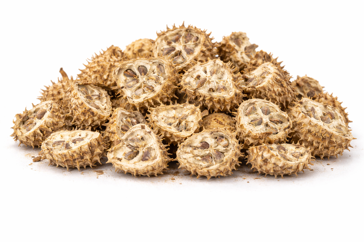 Balam Kheera cut pieces dried fruit of Luffa echinata herbal raw material