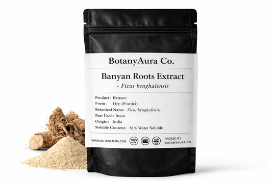 Banyan Roots Extract Powder Ficus benghalensis in black pouch BotanyAura Co