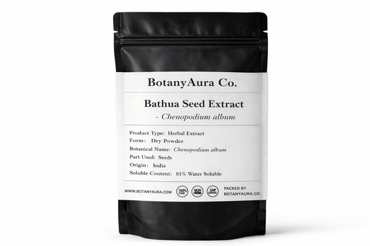 Bathua Seed Extract Powder Chenopodium album in black pouch BotanyAura Co