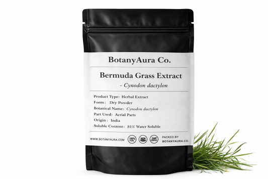 Bermuda Grass Extract Powder Cynodon dactylon in black pouch BotanyAura Co