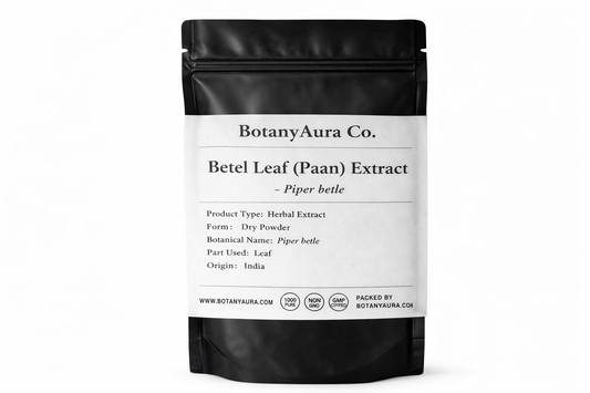 Betel Leaf Extract Powder Piper betle in black pouch BotanyAura Co