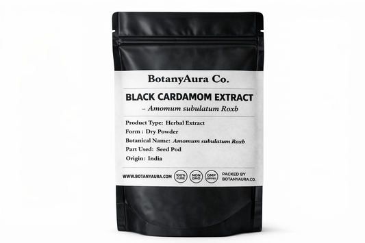 Black Cardamom Extract Powder Amomum subulatum Roxb in black pouch BotanyAura Co