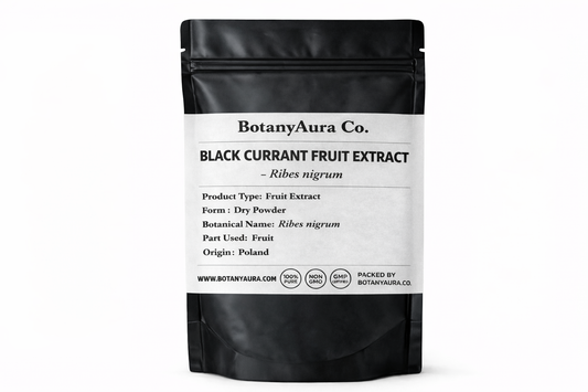 Premium Black Currant Fruit Extract Ribes nigrum powder in matte black pouch BotanyAura