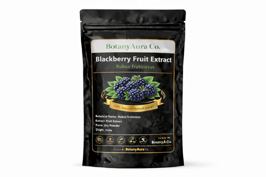 Blackberry Fruit Extract dry powder made from Rubus fruticosus packed by BotanyAura Co