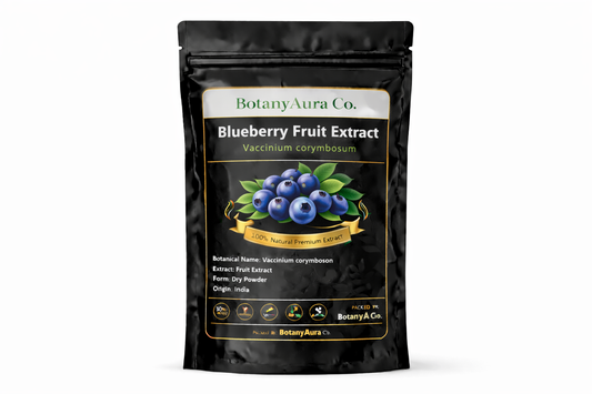 Blueberry Fruit Extract dry powder made from Vaccinium corymbosum packed by BotanyAura Co