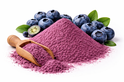 Pure blueberry powder made from Vaccinium corymbosum on white background