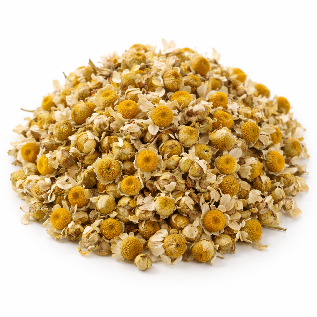 Dried Chamomile Flower Whole natural Matricaria chamomilla on white background
