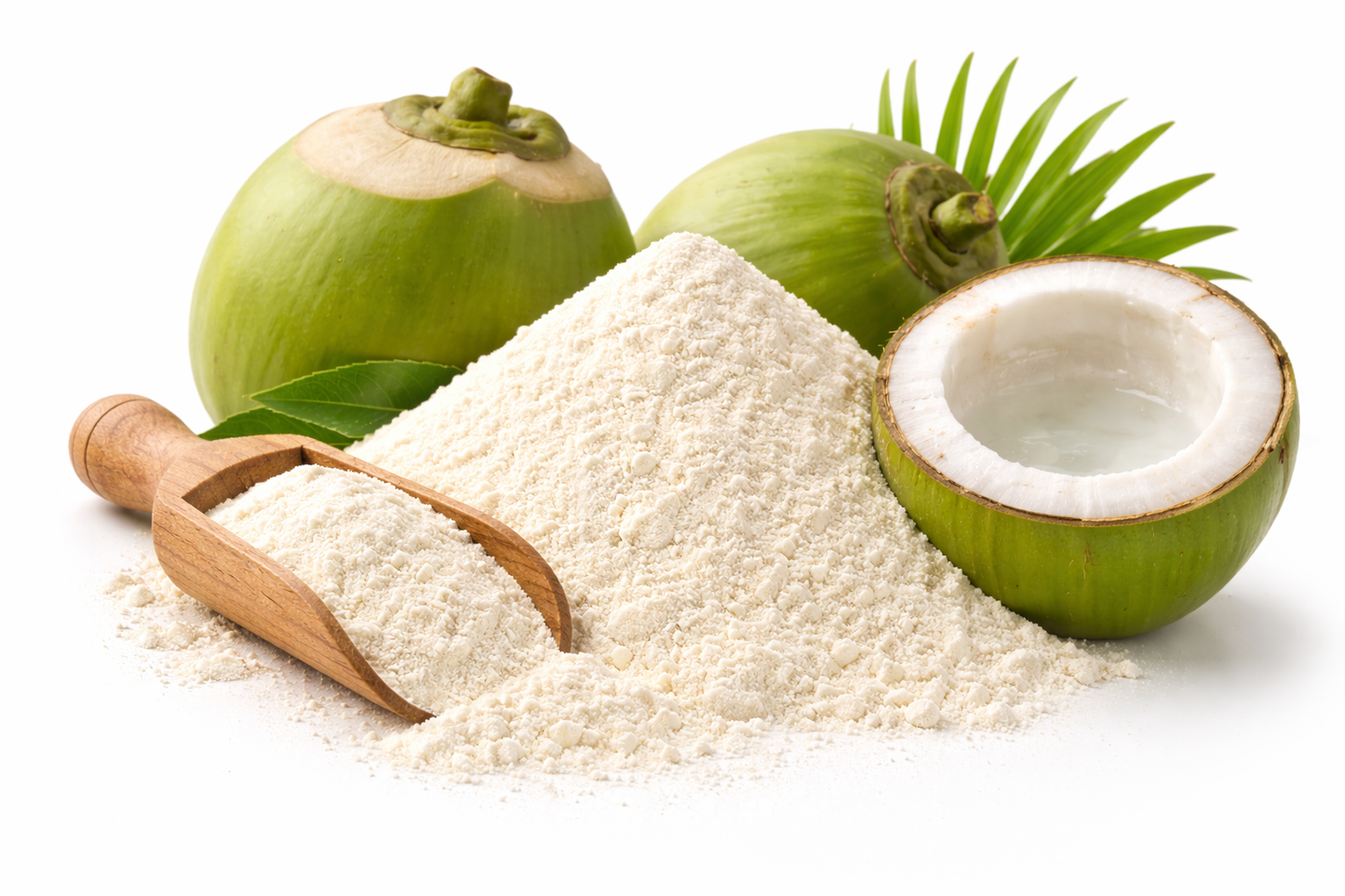 Coconut water powder made from Cocos nucifera dehydrated coconut water