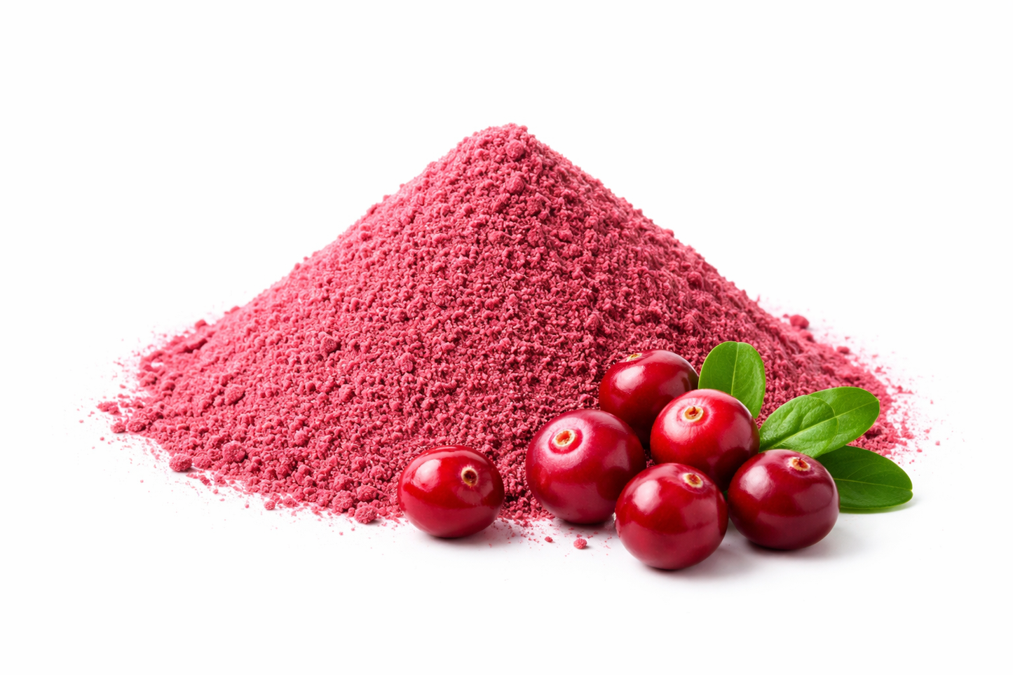 Cranberry powder made from dried Vaccinium macrocarpon fruits on white background