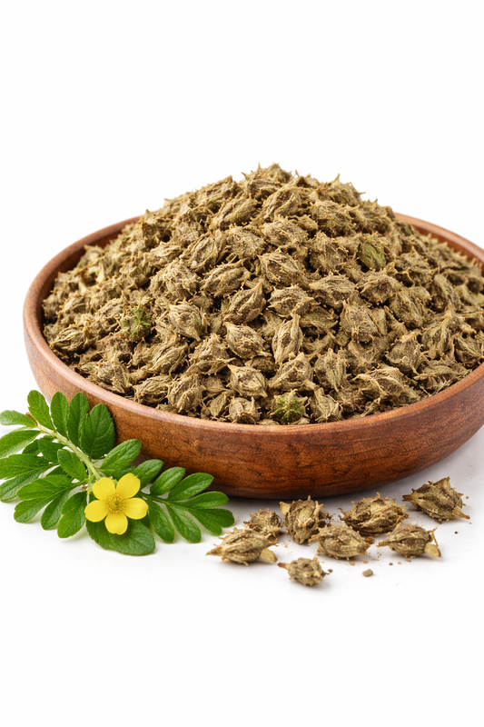 Gokhru small whole dried fruit of Tribulus terrestris herbal raw material