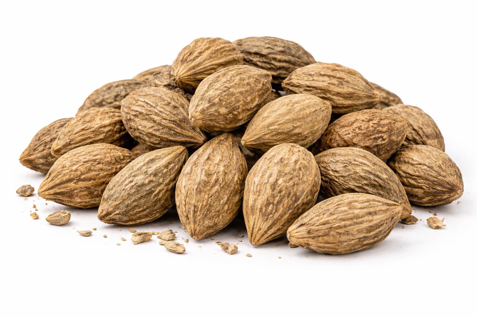 Harad big whole dried fruit of Terminalia chebula herbal raw material