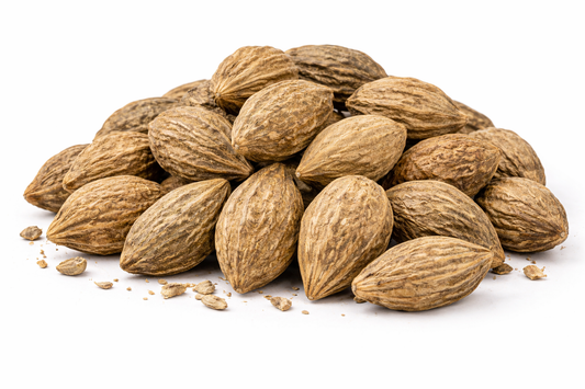 Harad big whole dried fruit of Terminalia chebula herbal raw material