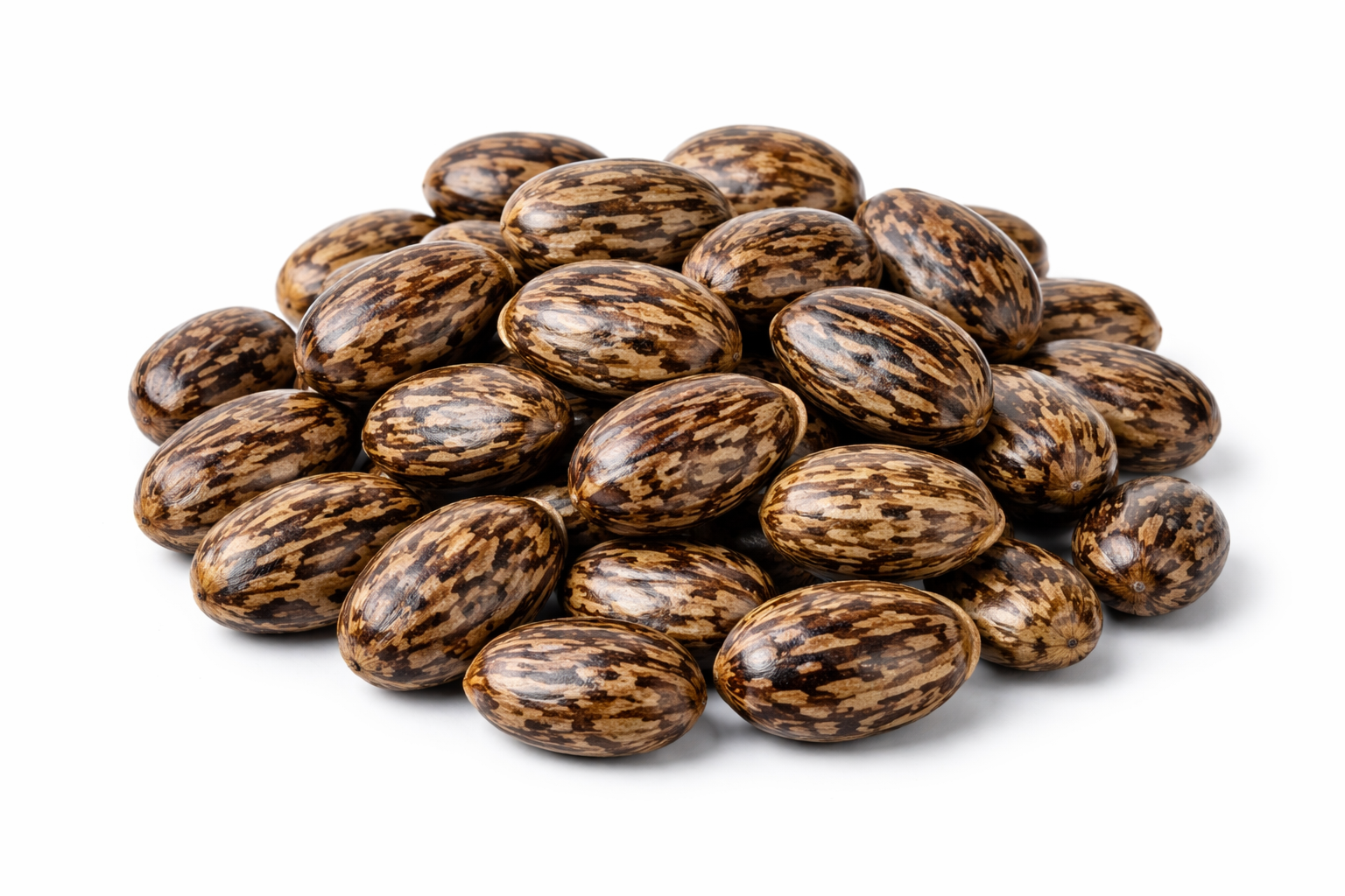 Jamalghota Beej (Croton Tiglium Seeds) – Whole Raw Seeds