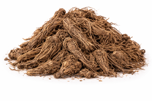 Jatamansi whole dried roots of Nardostachys jatamansi herbal raw material