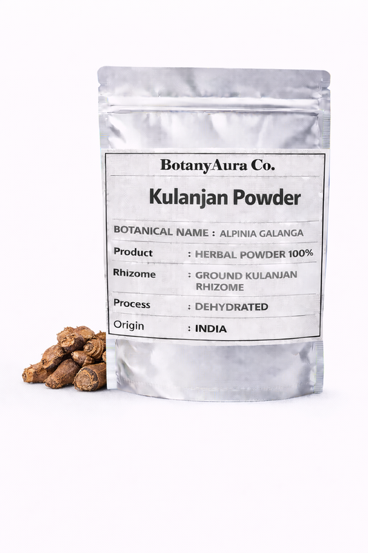 Kulanjan Powder Alpinia galanga natural herbal rhizome powder