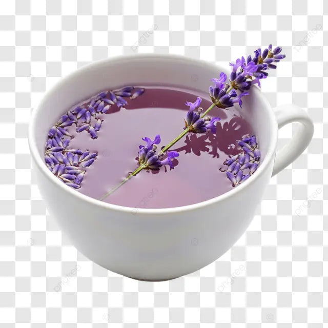 Lavender herbal tea brewed in cup with natural floral aroma