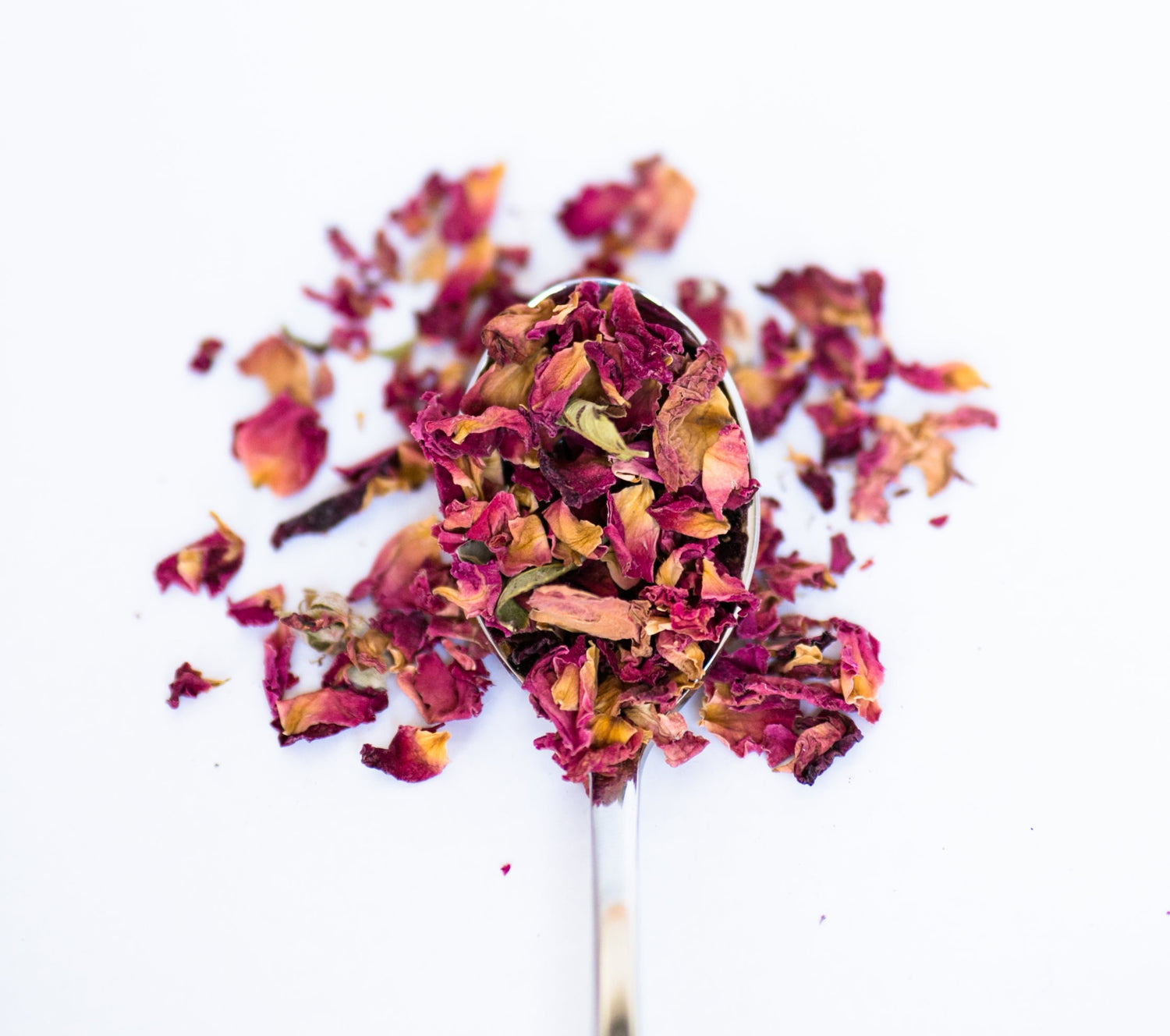Rose petal tea made from pure dried rose petals on white background