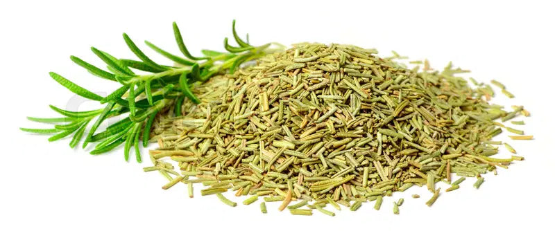 Pure dried rosemary leaves loose herb on white background