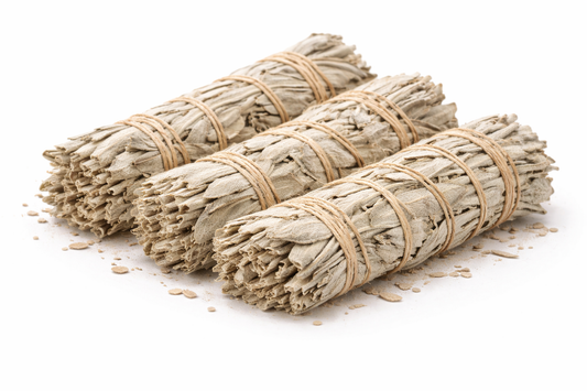 Sage bundle dried white sage leaves tied for smudging and aromatic use
